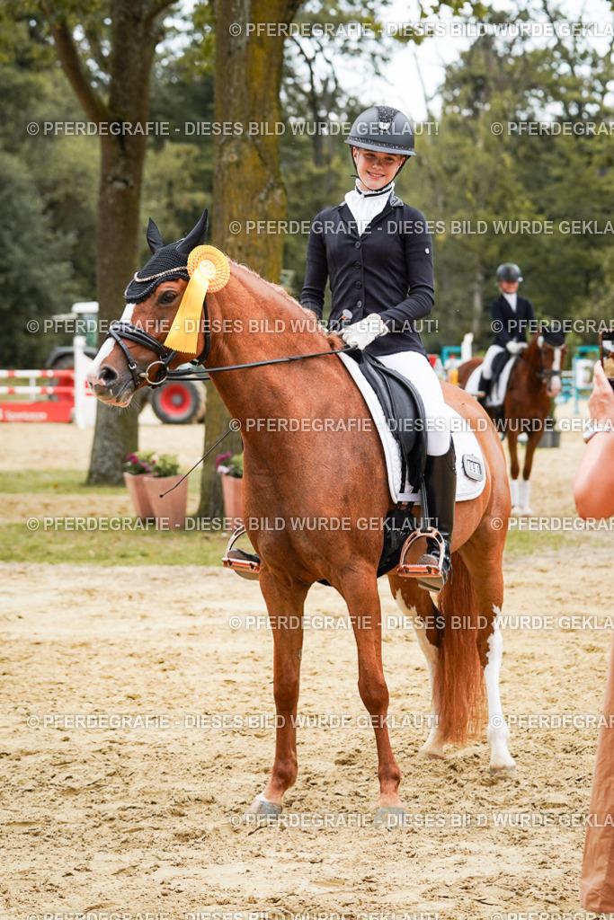 DSC06211 | Pferdegrafie