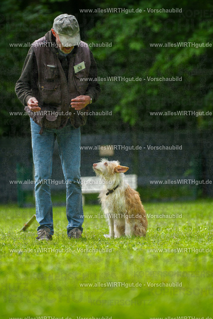 @allesWIRTHgut_Tierfotografie - www.allesWIRTHgut.de - 7R501330 | Professionelle Tierfotografie in Mönchengladbach von Daniel Wirth (allesWIRTHgut). Liebevolle & natürliche Bilder von Hunden & Katzen für unvergessliche Erinnerungen.