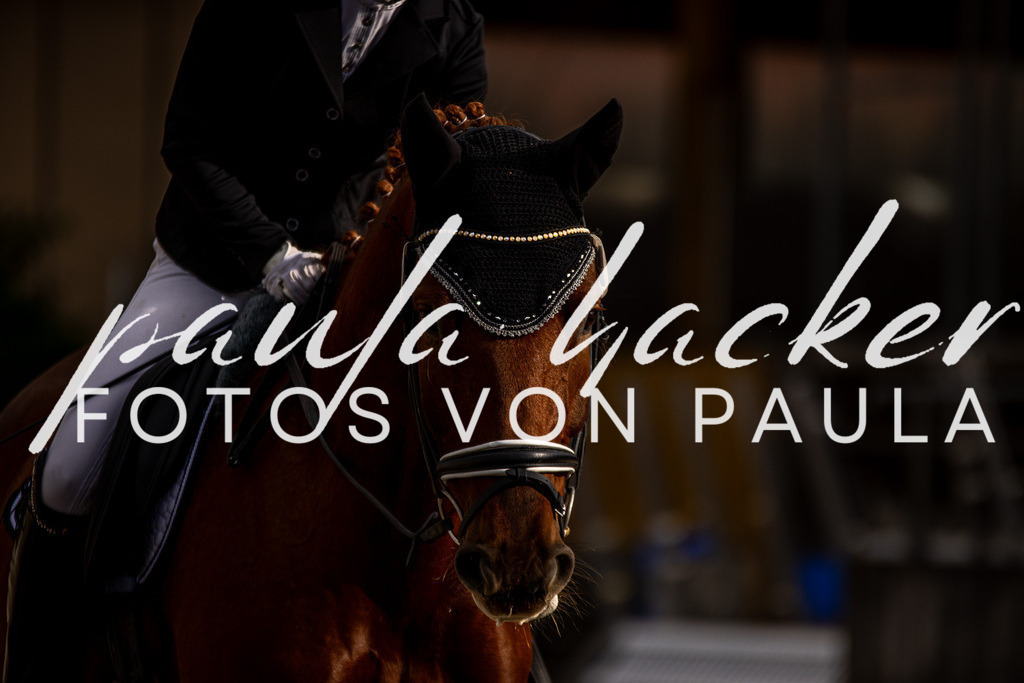 IMG_4257 | Erleben Sie dynamische Sport- und emotionale Tierfotografie in Süddeutschland mit Fotos von Paula. Spezialisiert auf Pferde- und Hundefotografie sowie Sportevents. Kontaktieren Sie mich für einzigartige und ausdrucksstarke Bilder Ihrer besonderen Momente. - Realisiert mit Pictrs.com
