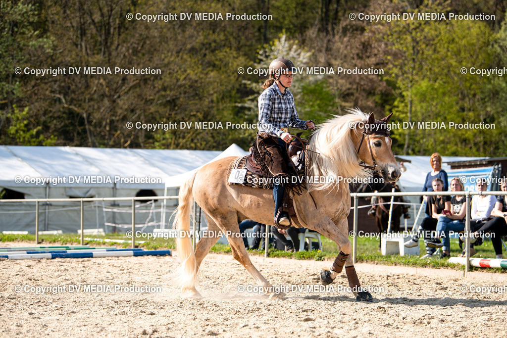 Heiligenwald Tag 1-0991 | dv-media-shop - Realisiert mit Pictrs.com