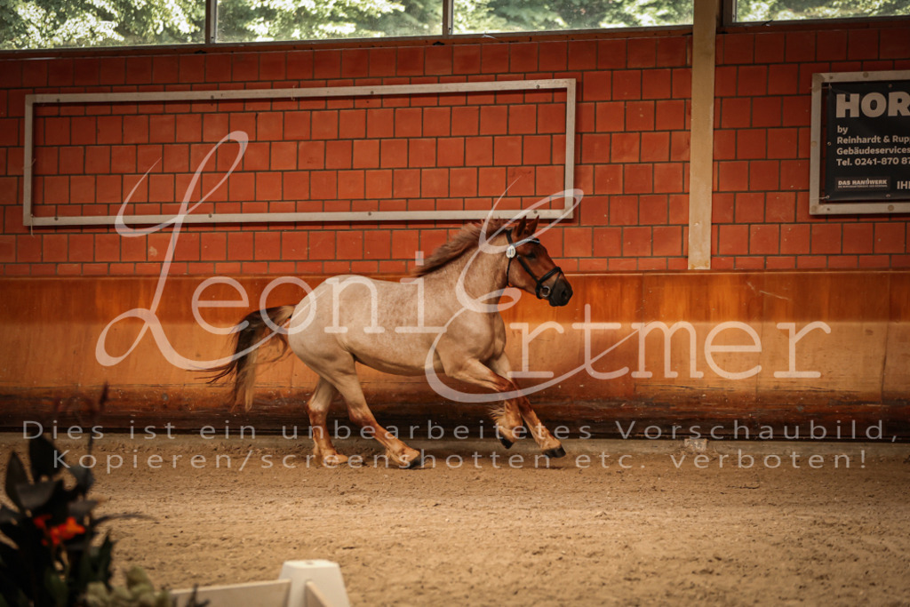 SaFL00064 | Leoni Ertmer Photography - Realisiert mit Pictrs.com