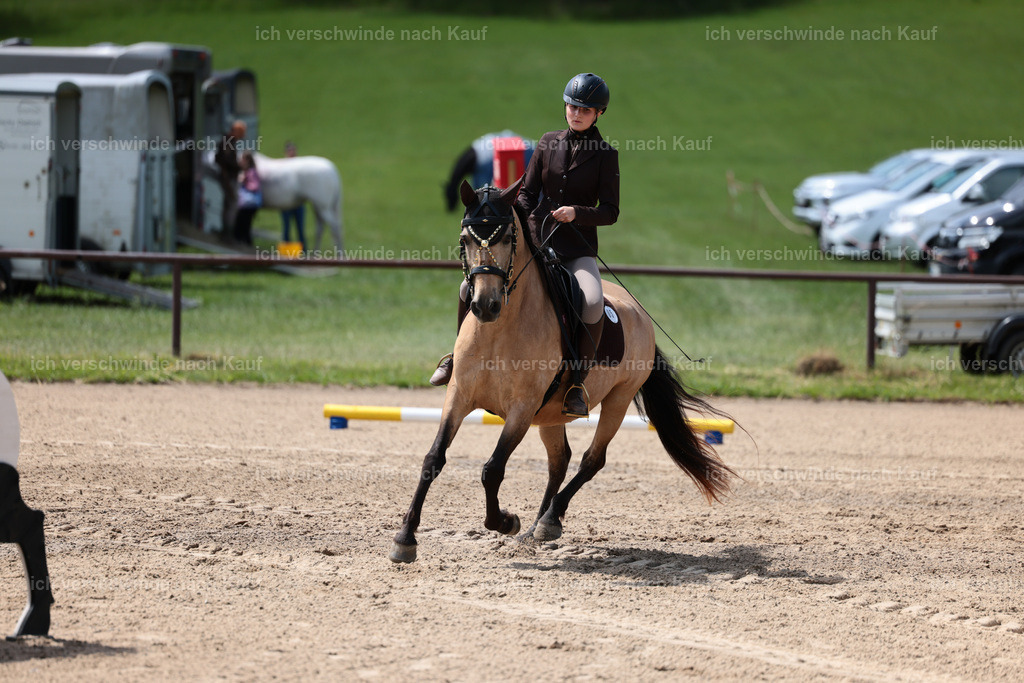 KlasseA_Stoibphotography_C2_L5507.JPG | working equitationturnier fotograf videograf stoibphotography marixx film working equitation deutschland reitsport turnierfotografie eventfotografie equestrian events