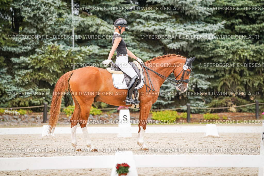 DSC08006 | Pferdegrafie