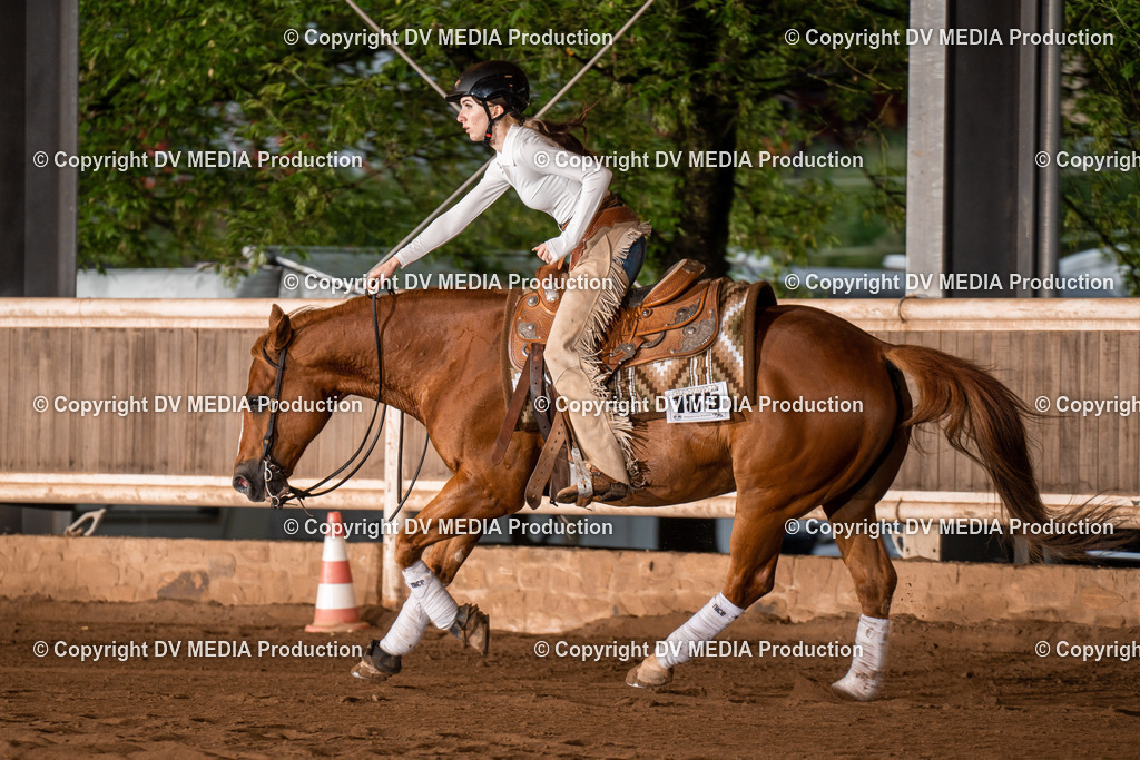 Erbach Tag 3-842 | dv-media-shop - Realisiert mit Pictrs.com