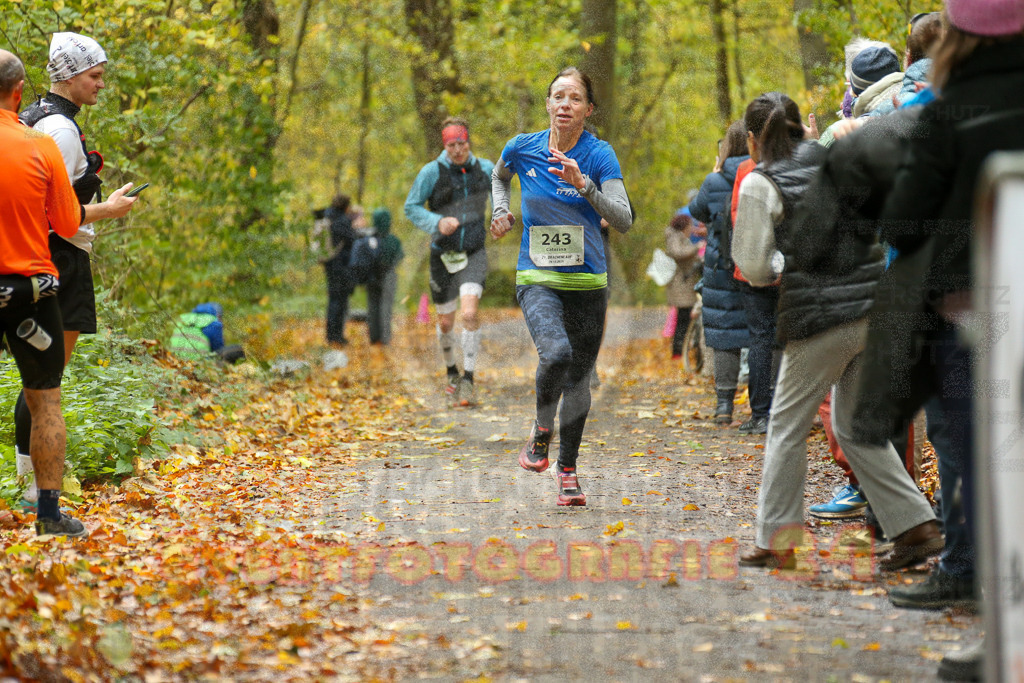 251026_1233_EX1_0629 | Sportfotografie im Rhein-Sieg Kreis, Köln, Bonn, NRW, Rheinland Pfalz, Hessen, etc. Unser Tätigkeitsfeld umfasst den Laufsport vom Volkslauf über den Marathon, Duathlon, Triathon bis zum Ultralauf wie Kölnpfad Ultra oder Schindertrail.