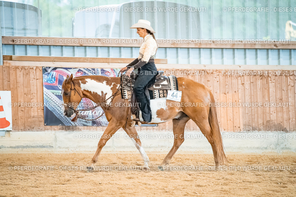 DSC00452 | Pferdegrafie