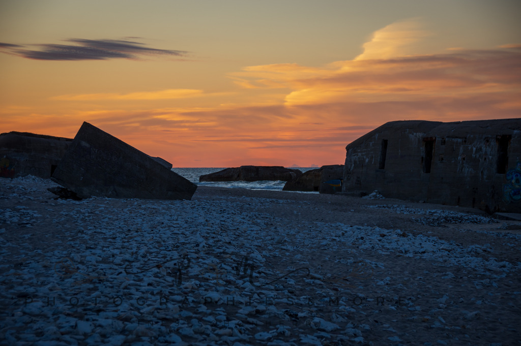 _Sommer2022-0961 | Photographies and more - Realisiert mit Pictrs.com