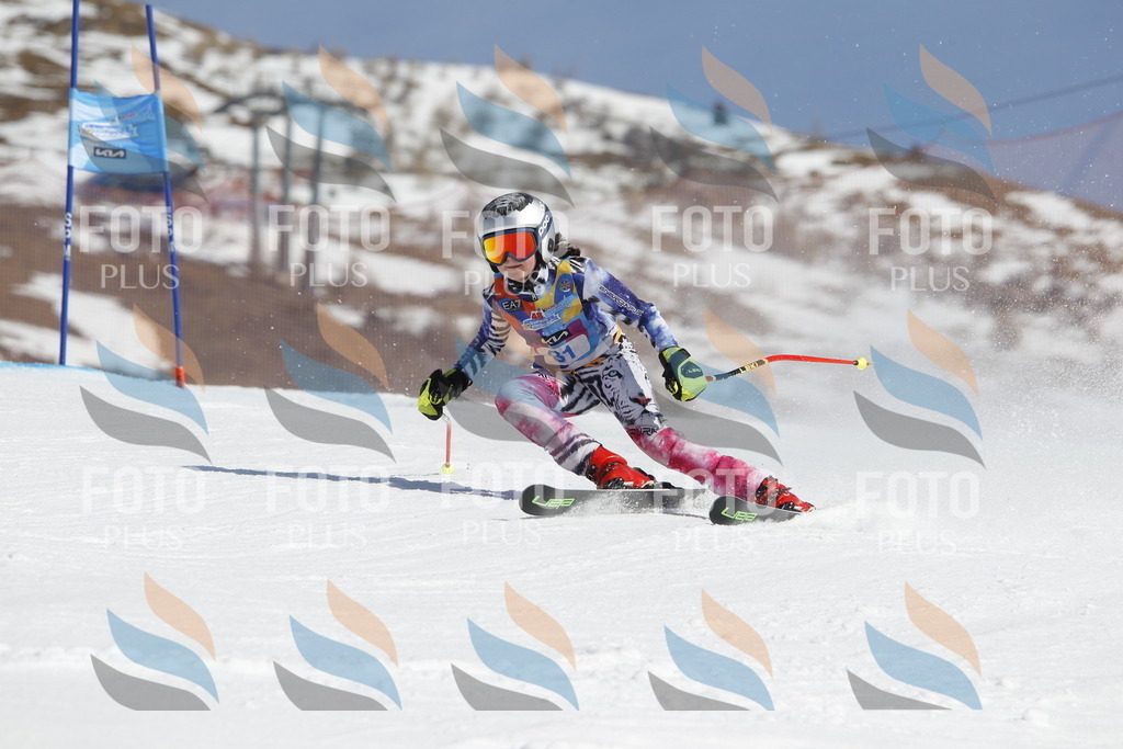 _U3G0013 | holidayphoto