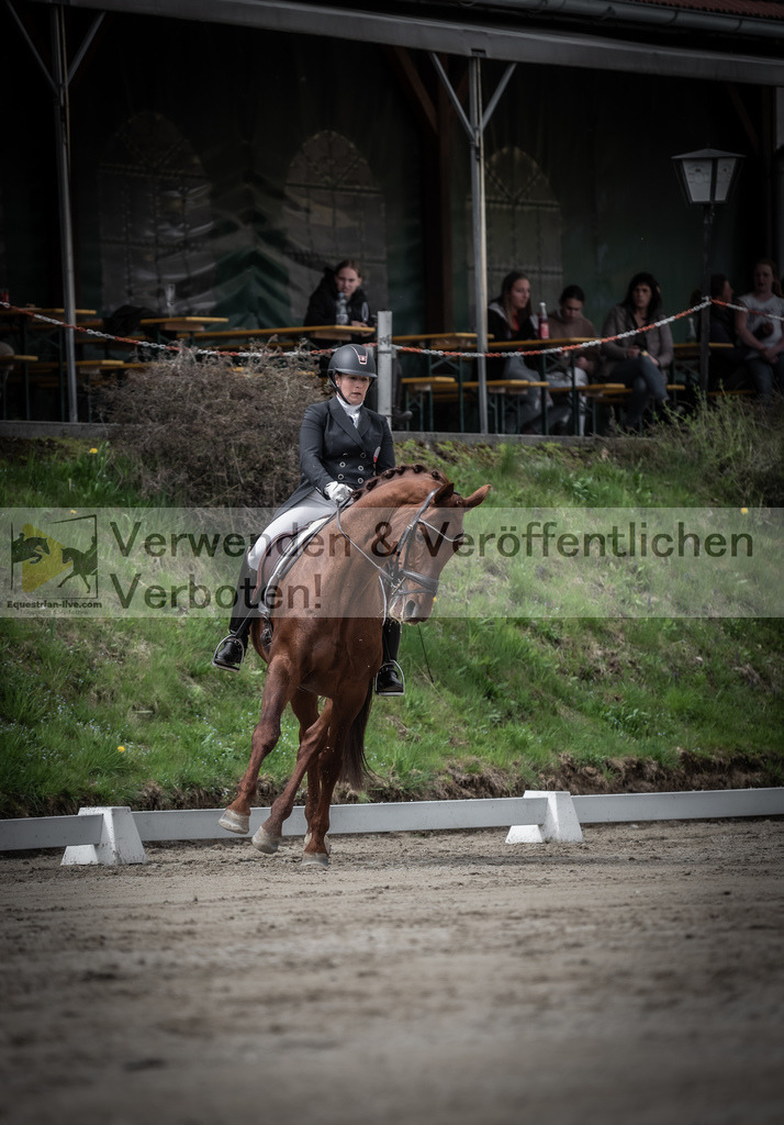 DSC_2568 | equestrian-live-com