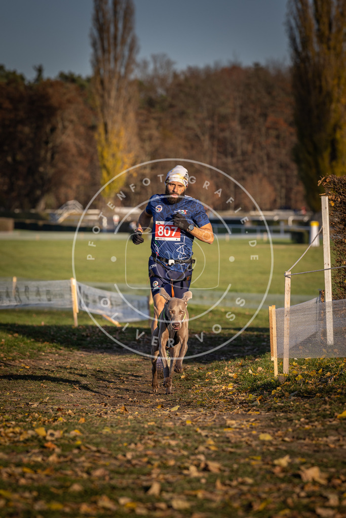 CaniXpix_DV3A2960 | Hundefotografie, Tierfotograf, Pfotenfotografie, Fotoshooting Hund, Hunde Portrait, Hundesport, Hundeportraits, Heideshooting, Hunde, Sportfotograf, Hundefotograf, Turnierhundsport, THS,  - Realisiert mit Pictrs.com