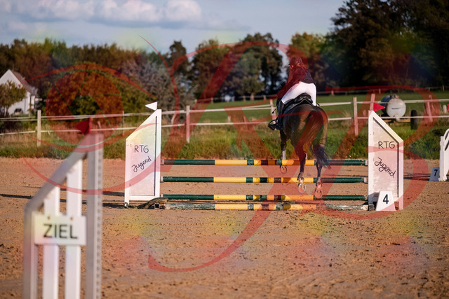 2026_10_03_Siefer-Hof_171906_Z81_17158655 | Professionelle Reitsport-, Turnier- und Eventfotografie von Robert Broda. Galerien mit ausgewählten und bearbeiteten Bildern direkt online ansehen und bestellen.