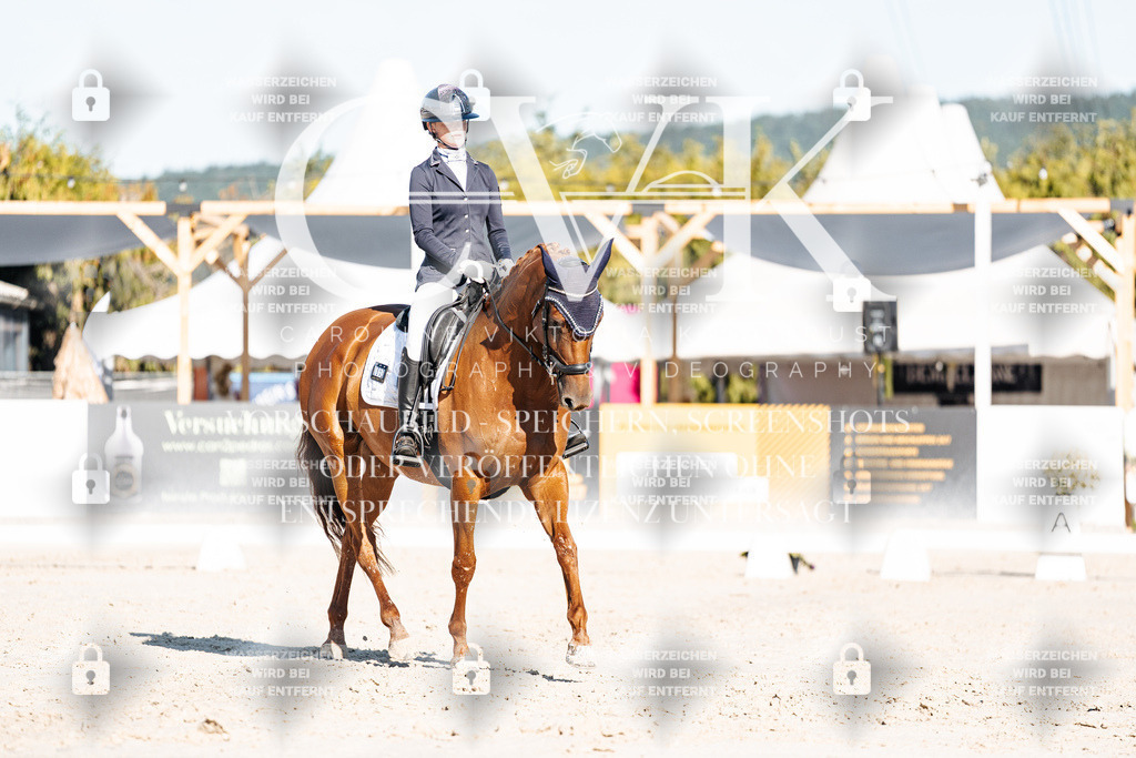 CK907353 | Turnierfotografie Pferdefotografie Trier Rheinland-Pfalz Pferdesport Reitsport Tierfotografie Sportfotografie Pferdevideo Pferdevideografie Equestrianvideography equestrianphotography  - Realisiert mit Pictrs.com