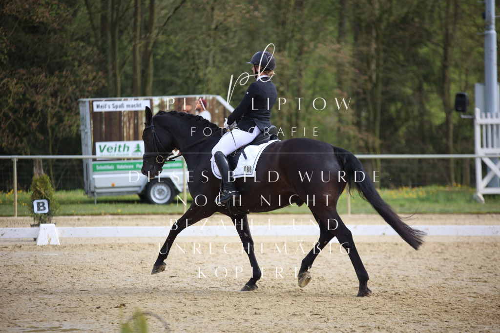 IMGT6177 | pl-fotografie