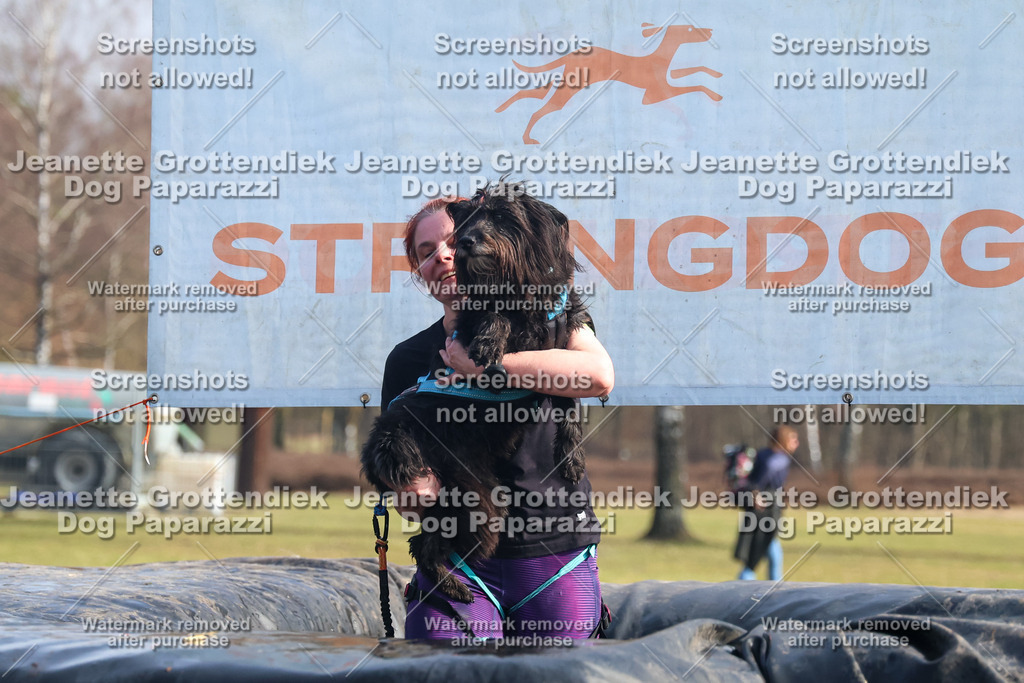 Dog Paparazzi - Strongdog North Mrz26-1690 | Dog Paparazzi Jeanette Grottendiek Fotografie & Videografie - Realisiert mit Pictrs.com