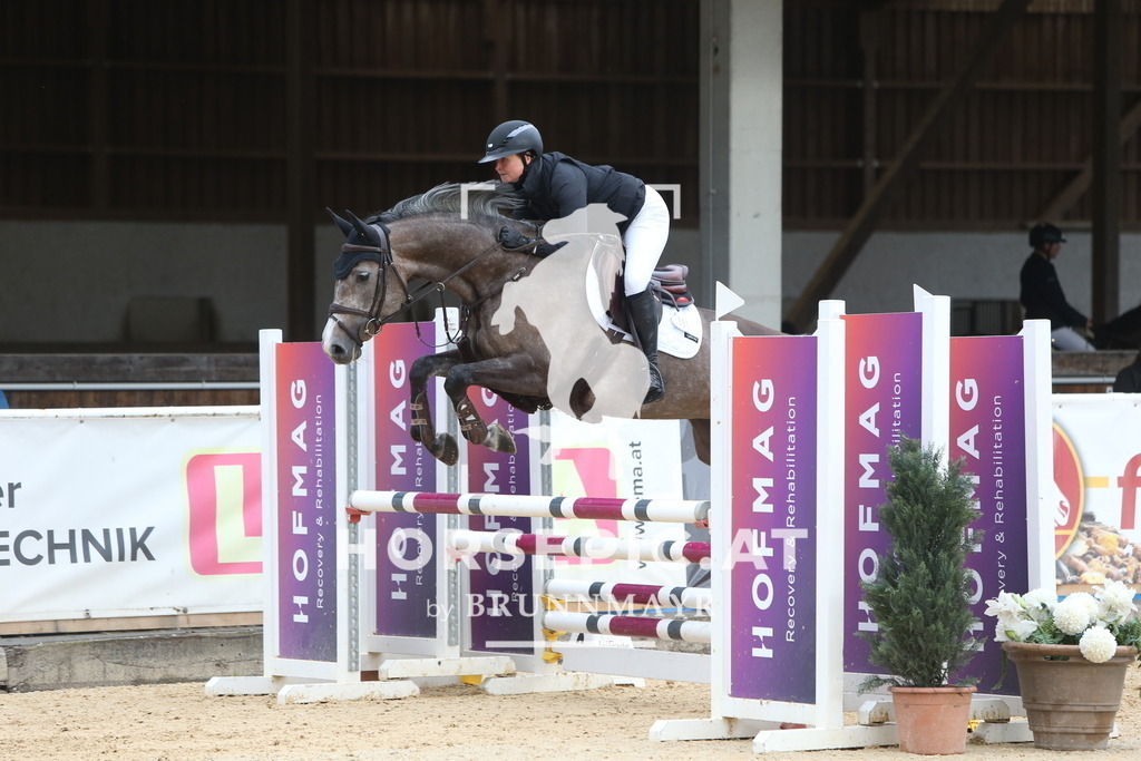 DL2Q4240 | Willkommen bei Brunnmayr - Design & Fotografie – Ihrem Spezialisten für Reitturniere und Pferdeveranstaltungen in Oberösterreich, Salzburg und Bayern! Seit über 17 Jahren sind wir leidenschaftlich dabei.