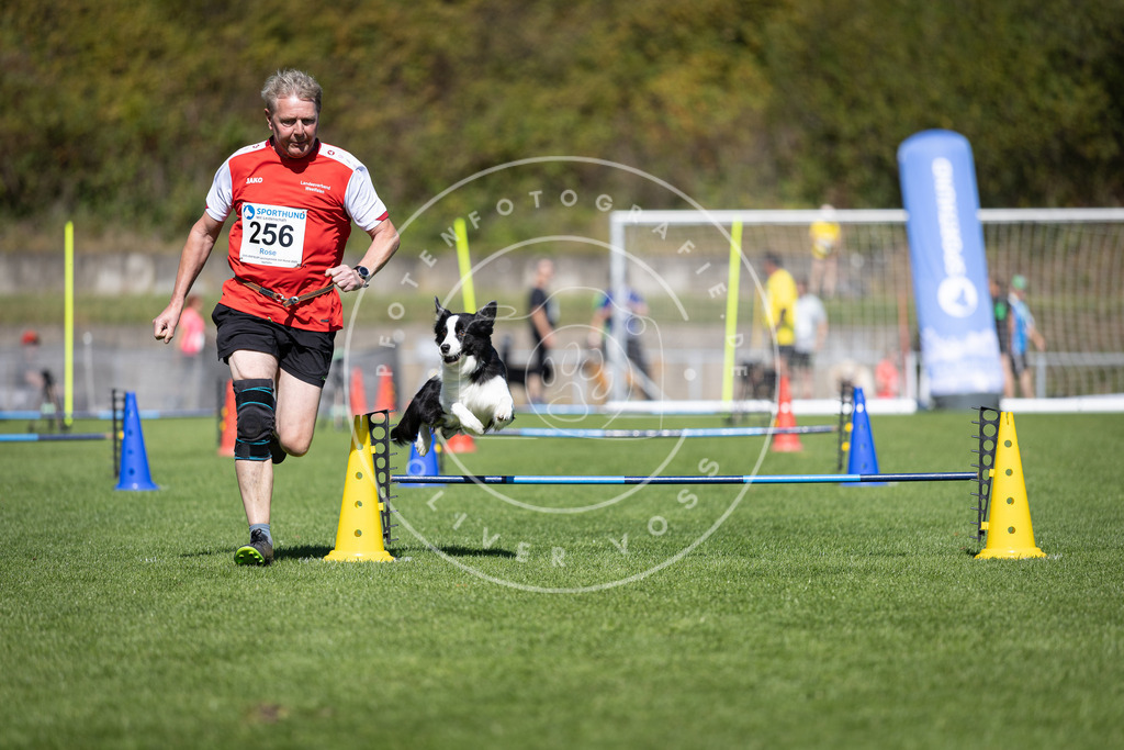 Pfotenfotografie_DV3A6353 | Hundefotografie, Tierfotograf, Pfotenfotografie, Fotoshooting Hund, Hunde Portrait, Hundesport, Hundeportraits, Heideshooting, Hunde, Sportfotograf, Hundefotograf, Turnierhundsport, THS,  - Realisiert mit Pictrs.com
