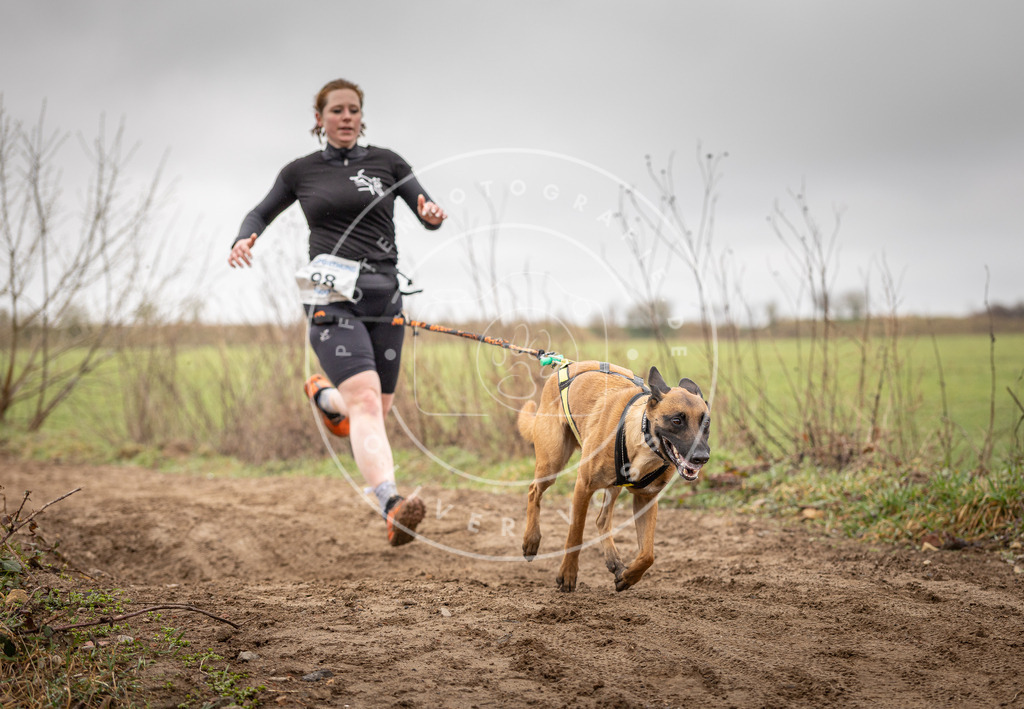 DV3A0147 | Hundefotografie, Tierfotograf, Pfotenfotografie, Fotoshooting Hund, Hunde Portrait, Hundesport, Hundeportraits, Heideshooting, Hunde, Sportfotograf, Hundefotograf, Turnierhundsport, THS,  - Realisiert mit Pictrs.com