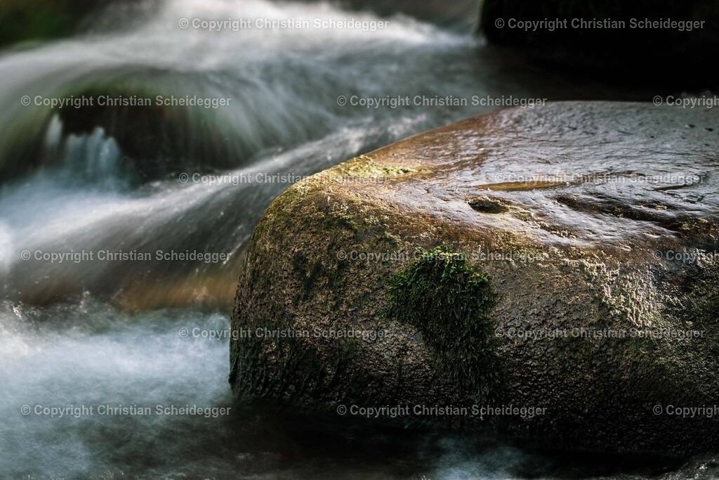 _DSC2048 | Schöne Fotoprints und andere Fotobilderprodukte, frei konfigurierbar - Realisiert mit Pictrs.com