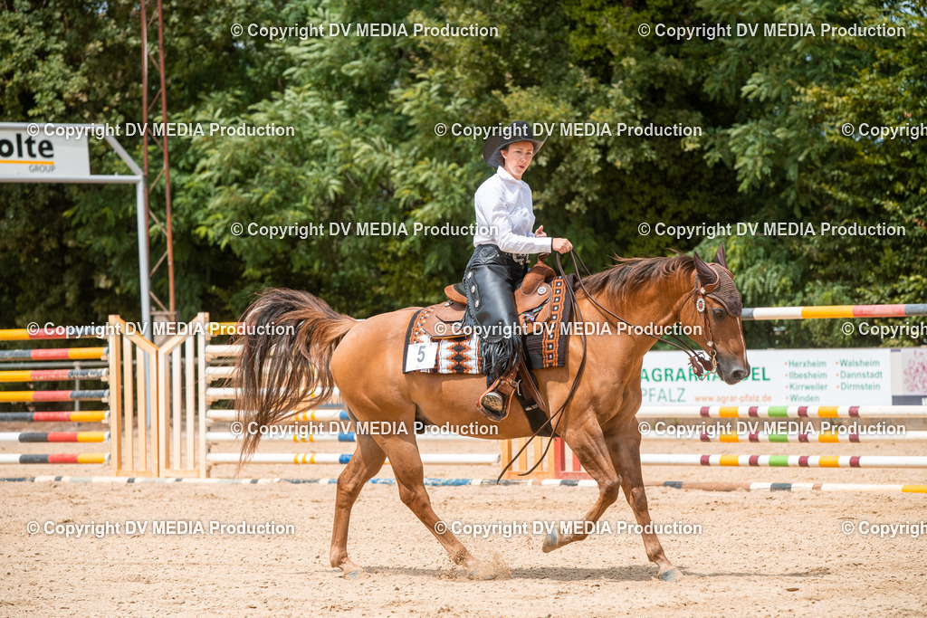 EWP_6241 | dv-media-shop - Realisiert mit Pictrs.com