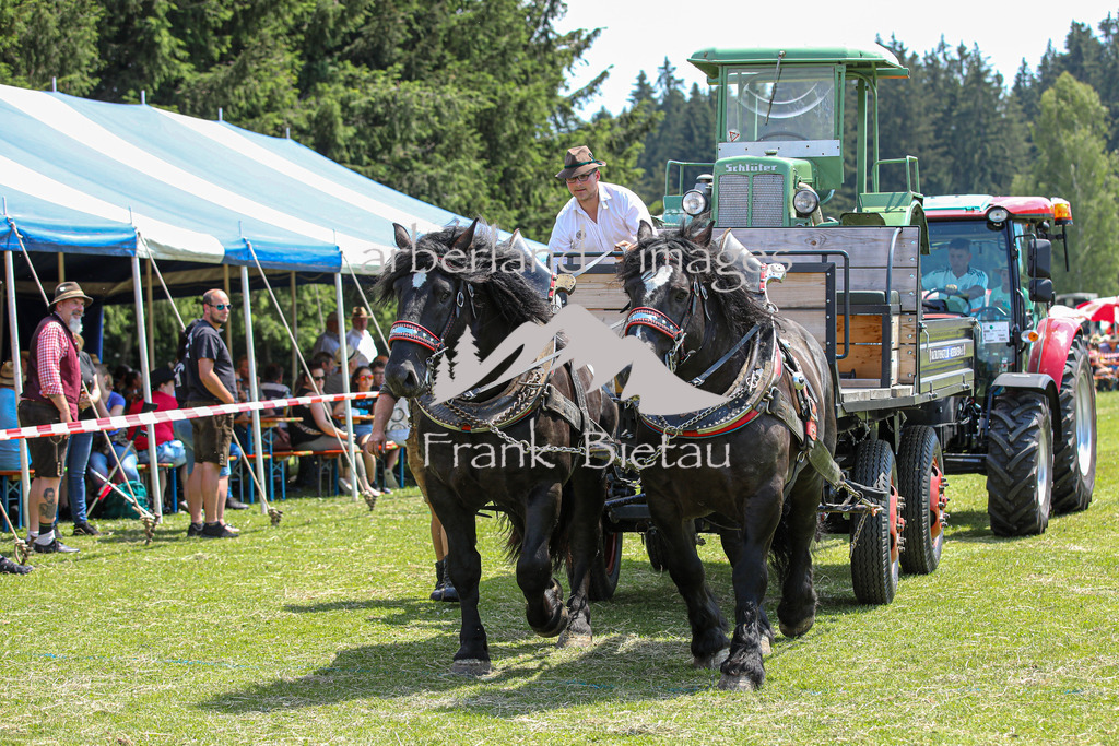 OE7A4575 | Beim Zugpferdetreffen in Poschedtsried galt es verschiedene Wettbewerbe zu meistern, Einzelrennen im Reiten, Traktorpulling und auch ein Hunderennen wurde veranstaltet