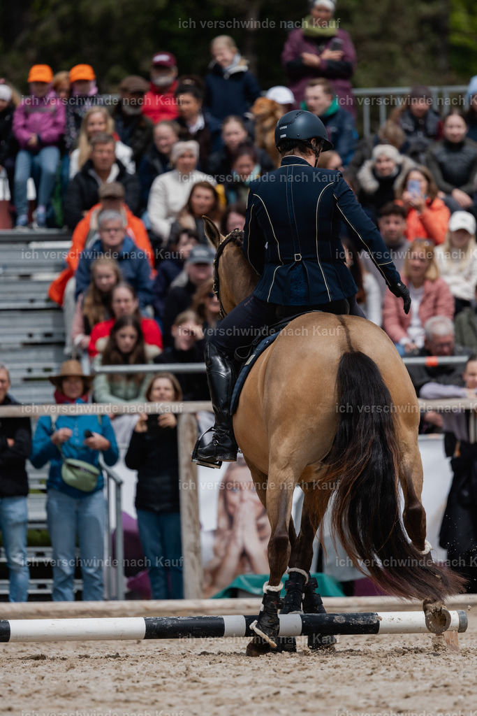 PI26_SP_StoibphotographyC2_C2006.jpg | working equitationturnier fotograf videograf stoibphotography marixx film working equitation deutschland reitsport turnierfotografie eventfotografie equestrian events