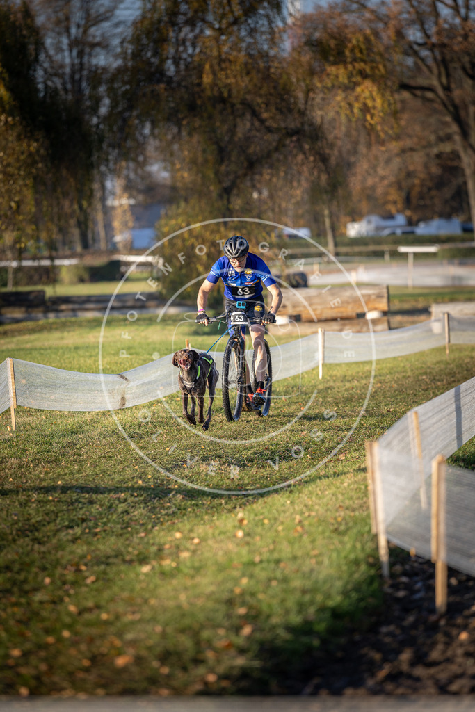 CaniXpix_DV3A0898 | Hundefotografie, Tierfotograf, Pfotenfotografie, Fotoshooting Hund, Hunde Portrait, Hundesport, Hundeportraits, Heideshooting, Hunde, Sportfotograf, Hundefotograf, Turnierhundsport, THS,  - Realisiert mit Pictrs.com