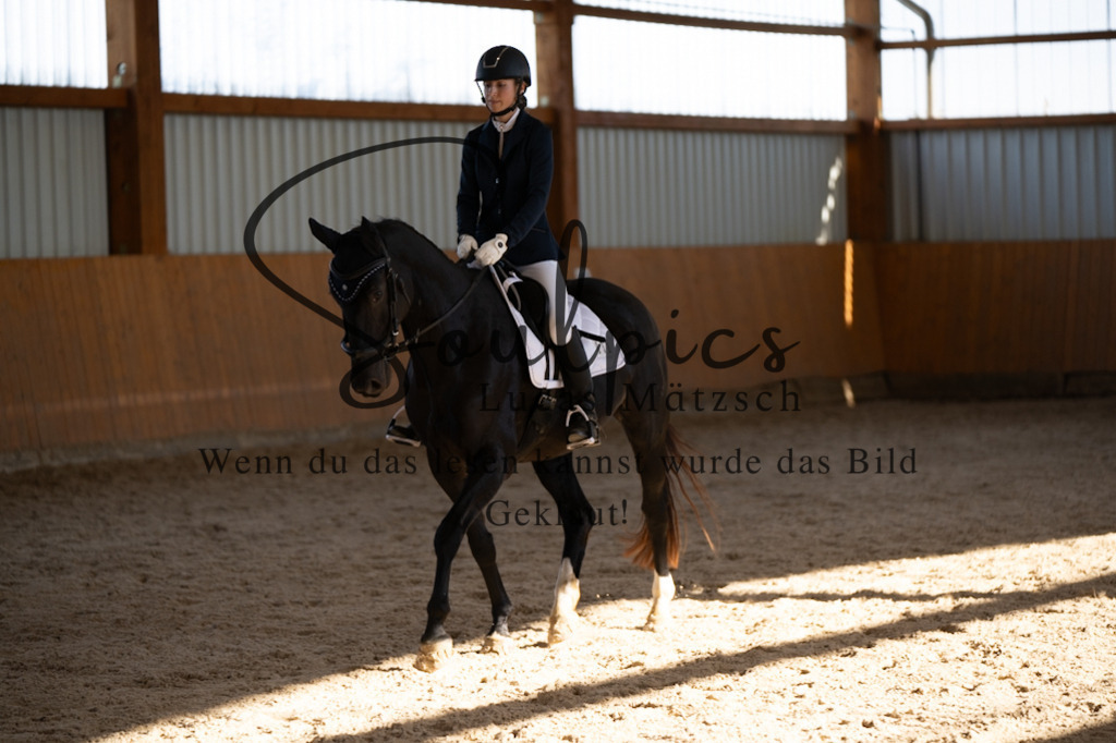 A7V01930 | Pferdefotograf