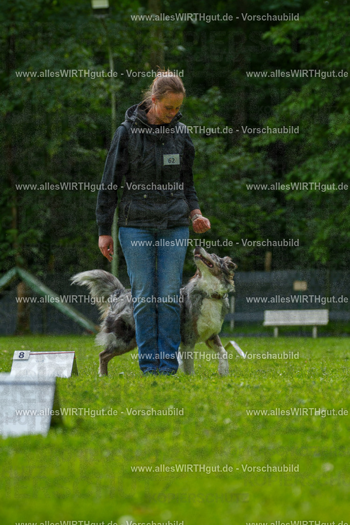 @allesWIRTHgut_Tierfotografie - www.allesWIRTHgut.de - 7R502059 | Professionelle Tierfotografie in Mönchengladbach von Daniel Wirth (allesWIRTHgut). Liebevolle & natürliche Bilder von Hunden & Katzen für unvergessliche Erinnerungen.