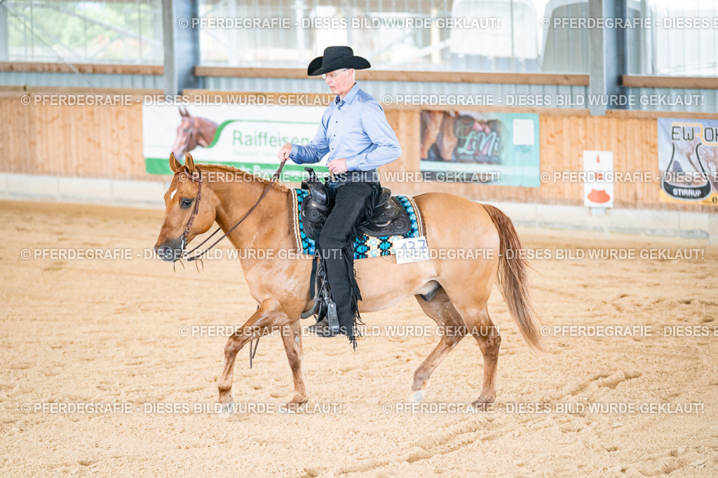 DSC01856 | Pferdegrafie