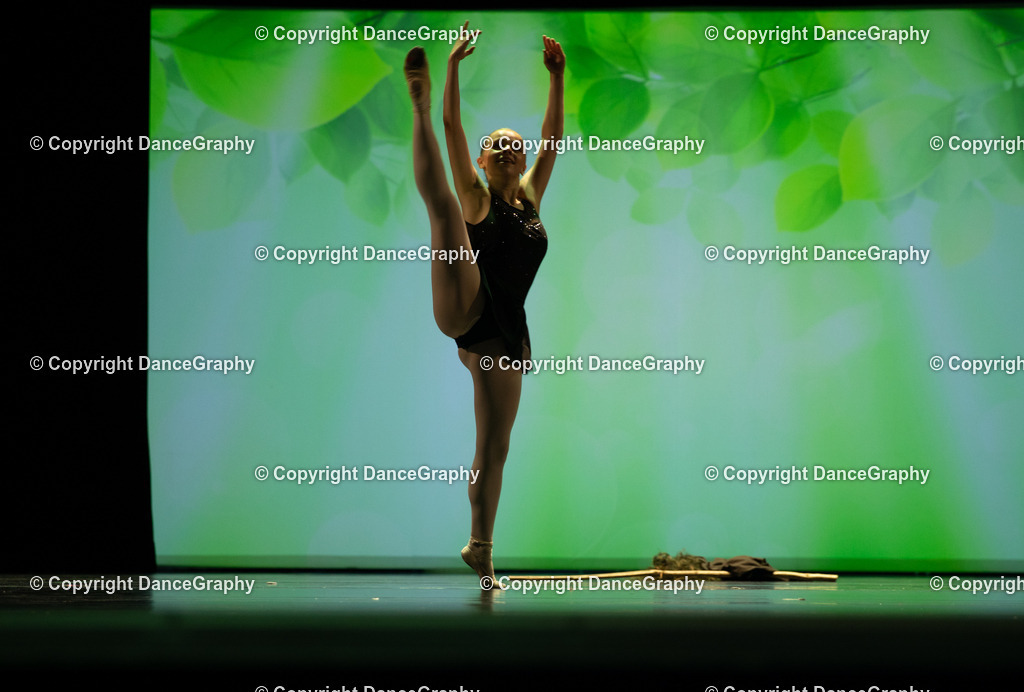 GPHY5759 | DanceGraphy - Realisiert mit Pictrs.com