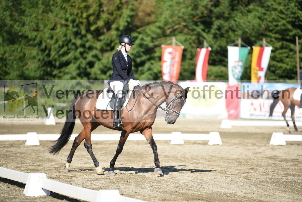 DSC_7171 | equestrian-live-com