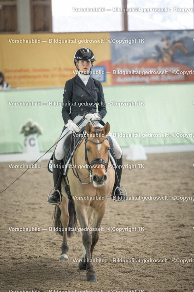 _D5A1804 | Emotionale Pferde- & People-Fotografie rund um Heidelberg, Leimen & Umgebung. Natürliche Fotos von Pferd, Mensch & Familie. Jetzt Termin sichern!