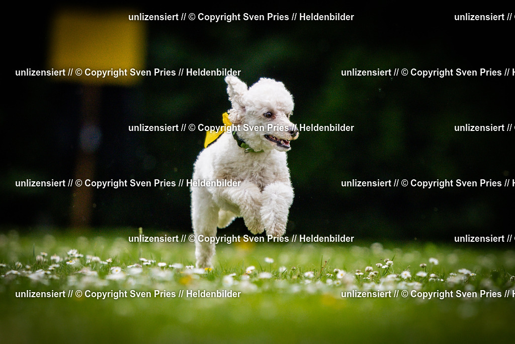 Sven Pries | 2025-05-29 - Pudelrennen KA-Durlach - Realisiert mit Pictrs.com