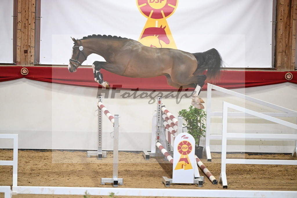 Kat.-Nr. 34 v. Oganero P_Masur_2251225 | hf-fotografie - Realizzato con Pictrs.com