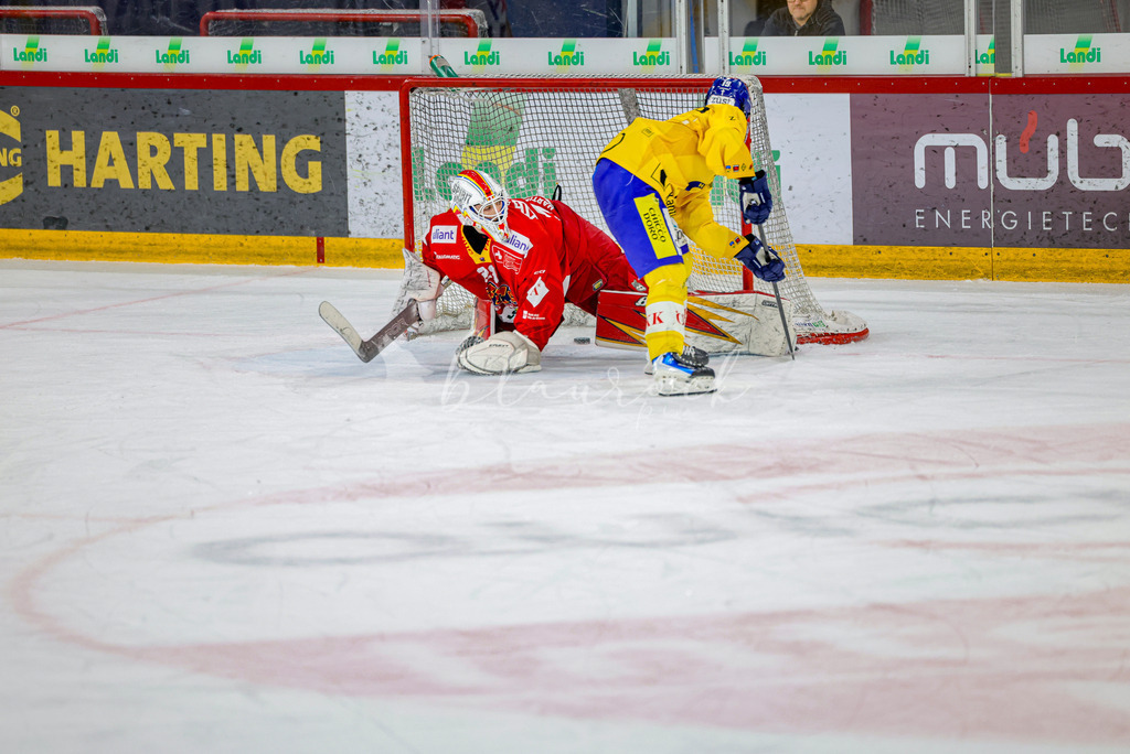 EHCB vs HCD-1562 | Sportbilder, Sportfotograf, Hochzeits- und Eventfotografin, Flugshows, Portraits und Tiershooting, Aviation, Downhill, Nationalleague, Swissleague, International