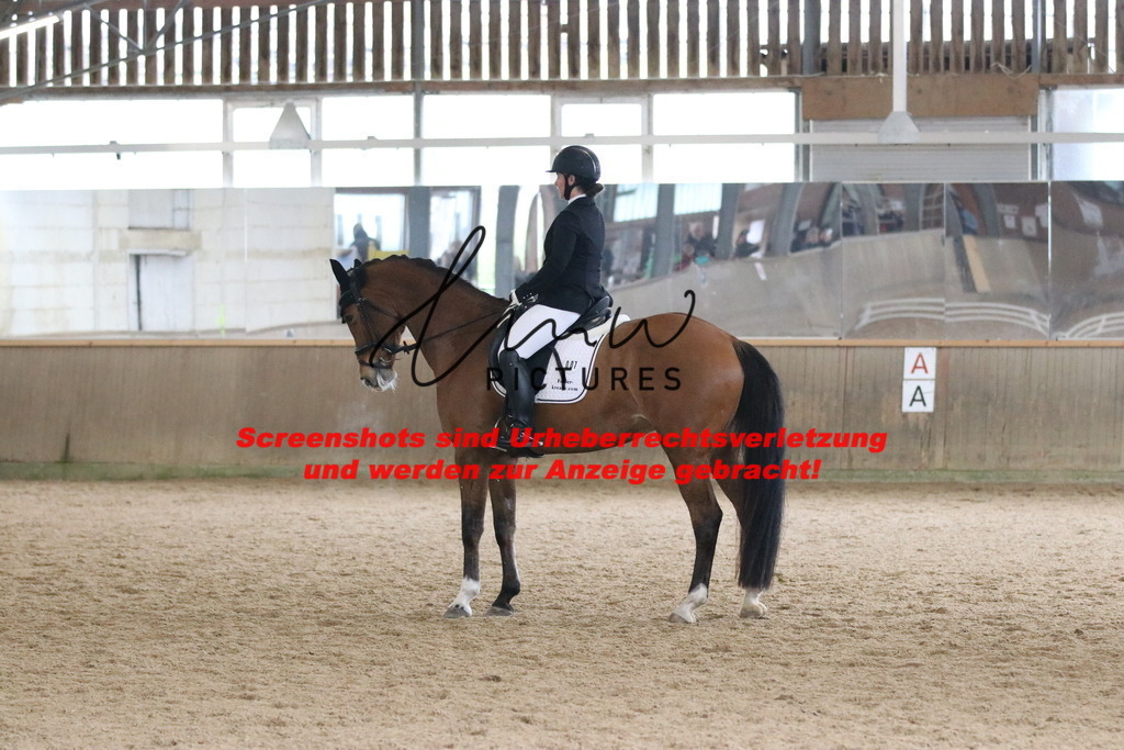 IMG_7276 | lmwpictures - Realisiert mit Pictrs.com