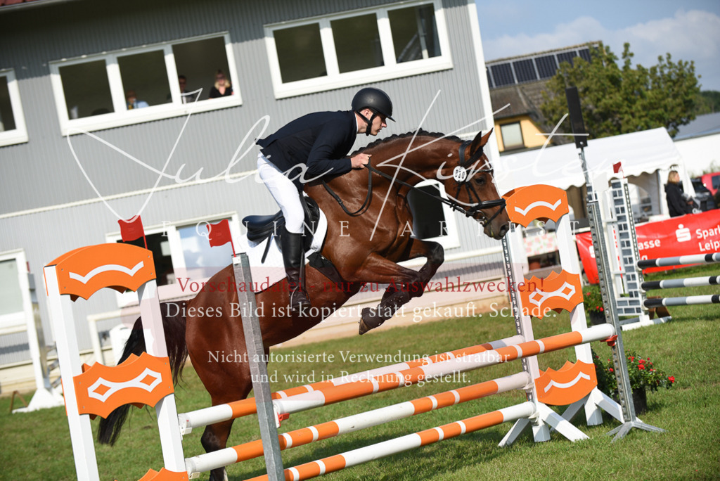 DSC_8721 | Pferde- und Turnierfotografie in Westsachsen. Pferdeportraits, Auftragszeichnungen und intuitive Kunst.