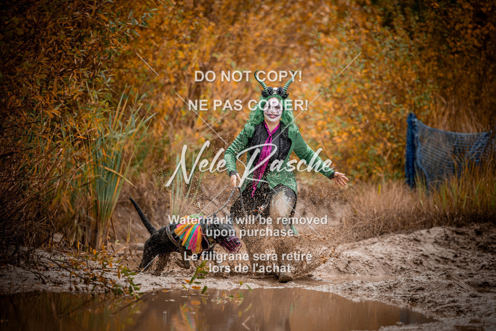 nelerasche_Creepy2025_Sa11-12_215 | nelerasche