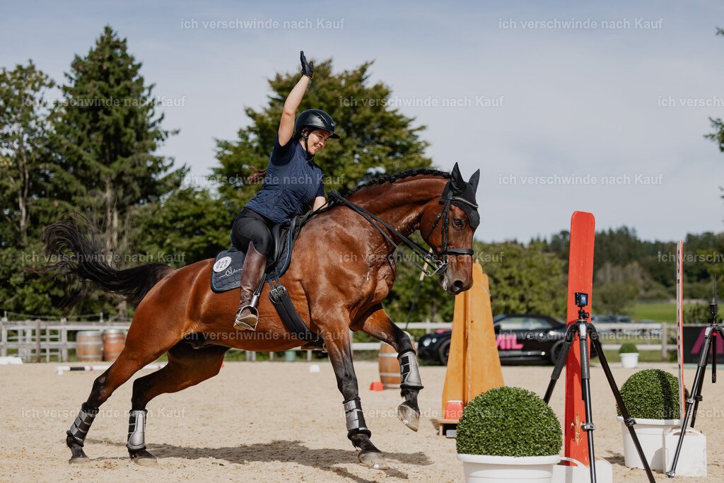 Nadine22_FHC2025-127 | working equitationturnier fotograf videograf stoibphotography marixx film working equitation deutschland reitsport turnierfotografie eventfotografie equestrian events