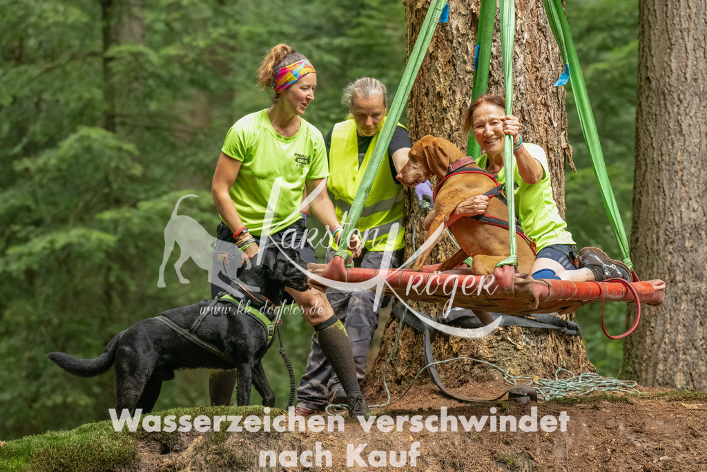 1318_ZZ92495-Bearbeitet | kk-dogfotos