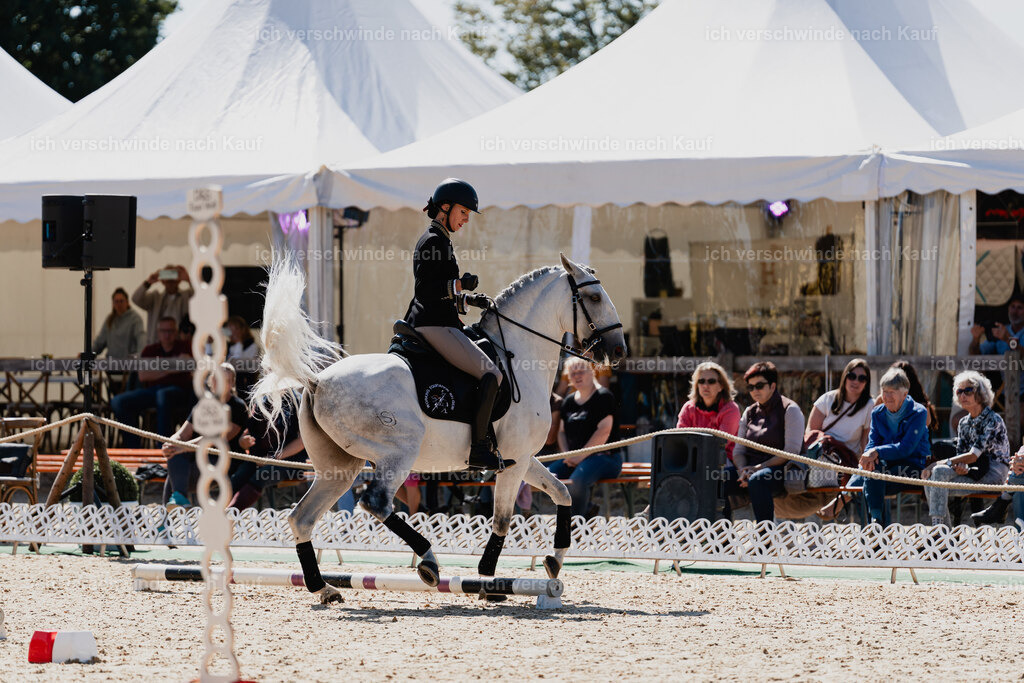 Virginie12FHC2025-08570 | working equitationturnier fotograf videograf stoibphotography marixx film working equitation deutschland reitsport turnierfotografie eventfotografie equestrian events