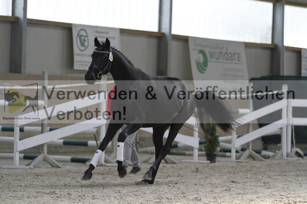 _MG_9821 | equestrian-live-com