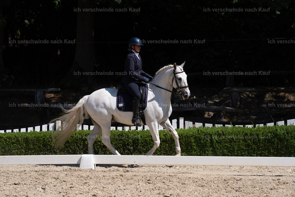 WS_DR_142_sinafilmart_IN09752 | working equitationturnier fotograf videograf stoibphotography marixx film working equitation deutschland reitsport turnierfotografie eventfotografie equestrian events
