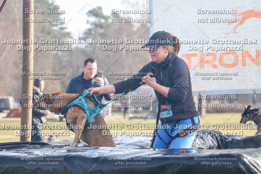 Dog Paparazzi - Strongdog North Mrz26-224 | Dog Paparazzi Jeanette Grottendiek Fotografie & Videografie - Realisiert mit Pictrs.com