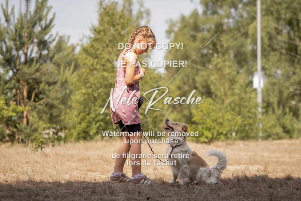 nelerasche_soDD2_278 | nelerasche
