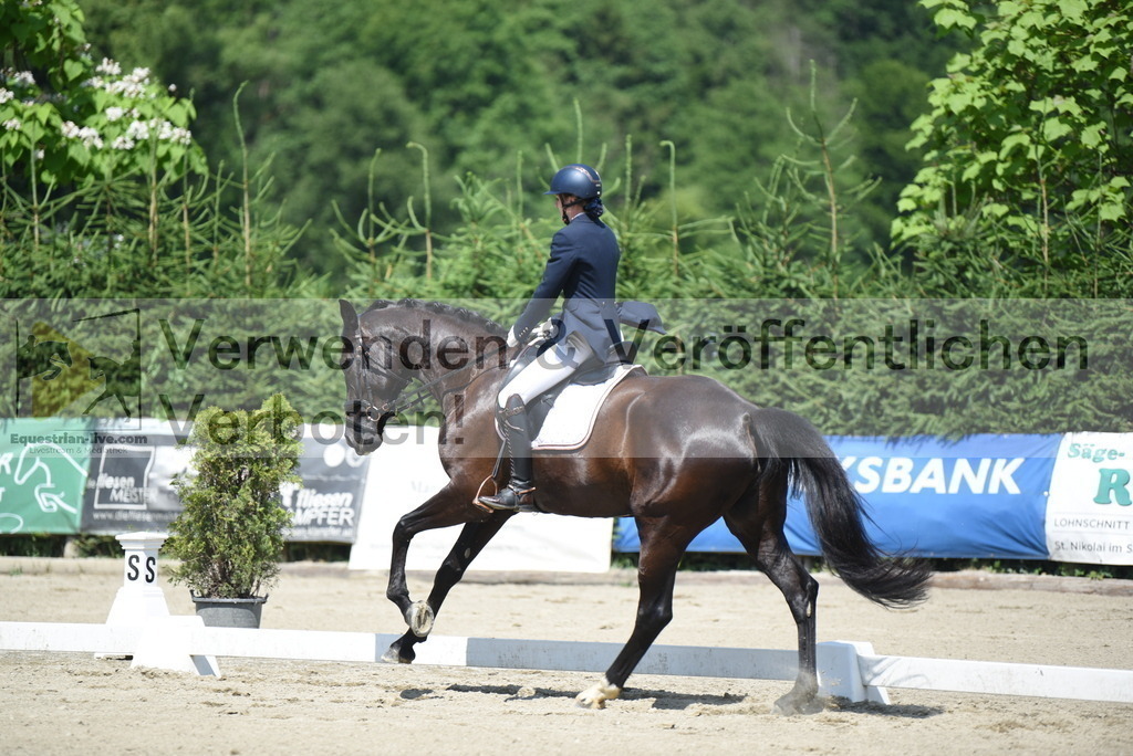 DSC_8454 | equestrian-live-com