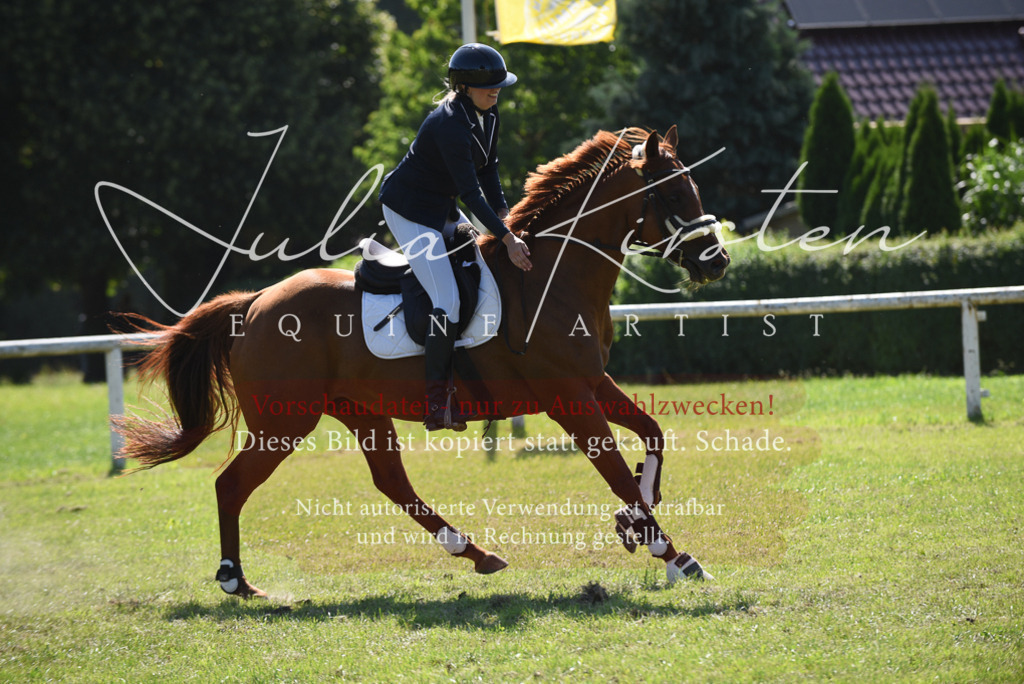 DSC_9359 | Pferde- und Turnierfotografie in Westsachsen. Pferdeportraits, Auftragszeichnungen und intuitive Kunst.