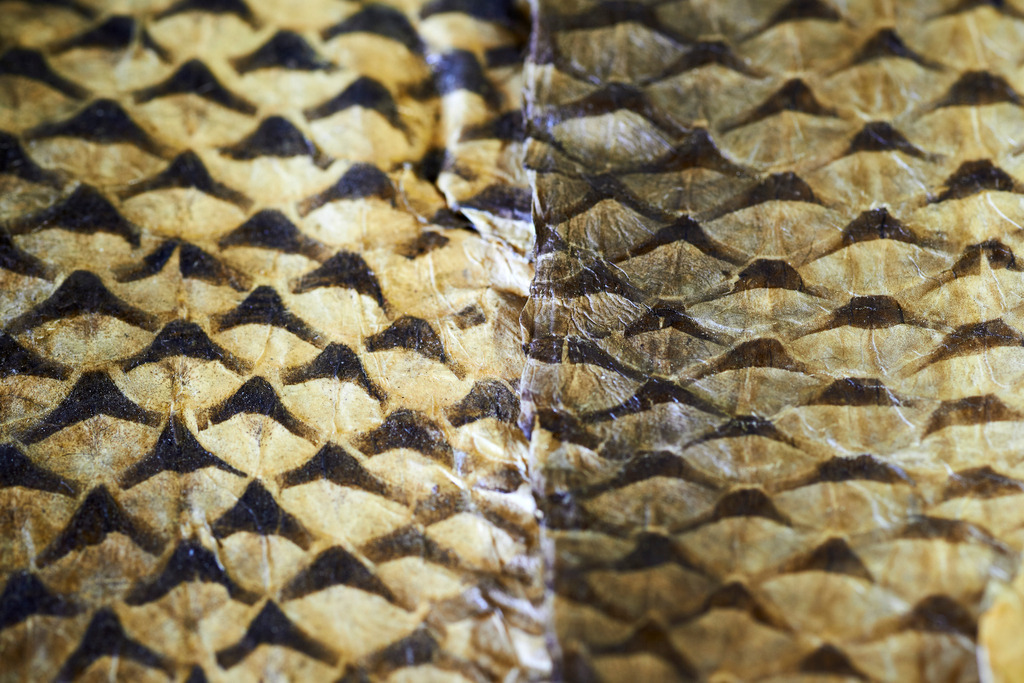 Yupitaze Fischtextil | Litschau, Austria - April 02, 2016: Yupitaze Fischtextil; getrocknetes Fischleder. - Realisiert mit Pictrs.com