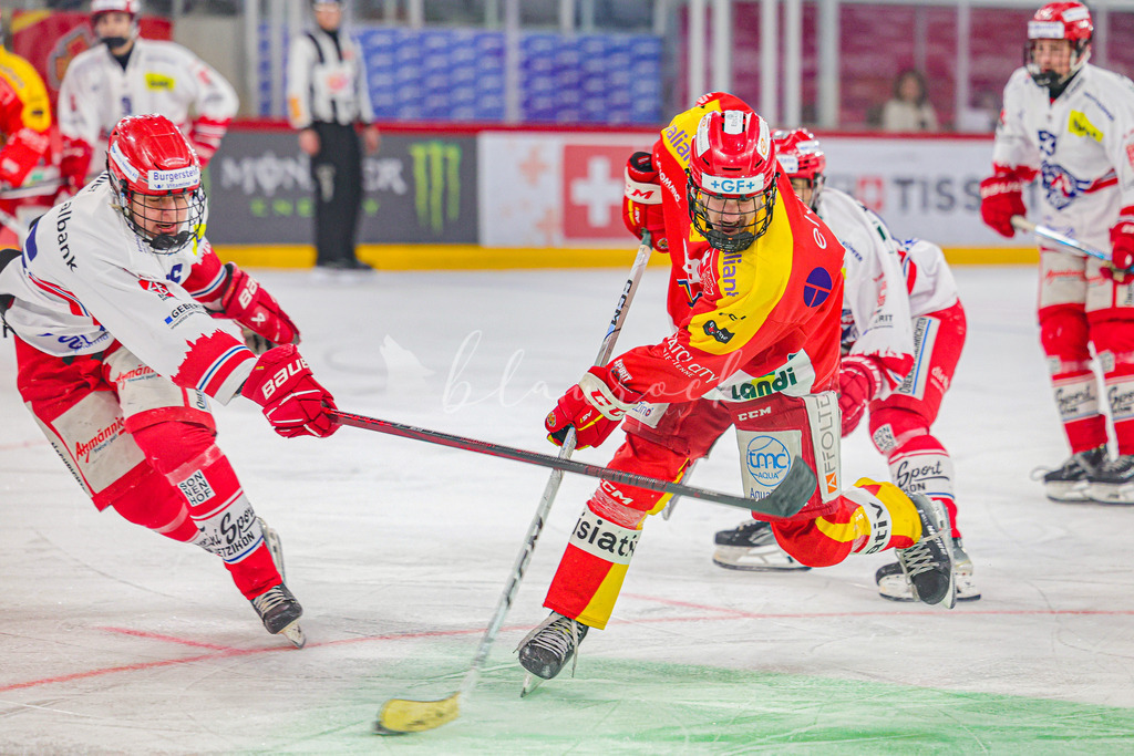 0316_WB_EHCB vs SCRJL_1319 | Sportbilder, Sportfotograf, Hochzeits- und Eventfotografin, Flugshows, Portraits und Tiershooting, Aviation, Downhill, Nationalleague, Swissleague, International