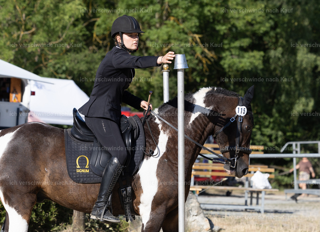 WA_Trail_115_KerstinBernhardt-16 | working equitationturnier fotograf videograf stoibphotography marixx film working equitation deutschland reitsport turnierfotografie eventfotografie equestrian events
